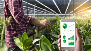 Agricultura del Futuro: Innovación, Desafíos y Sostenibilidad